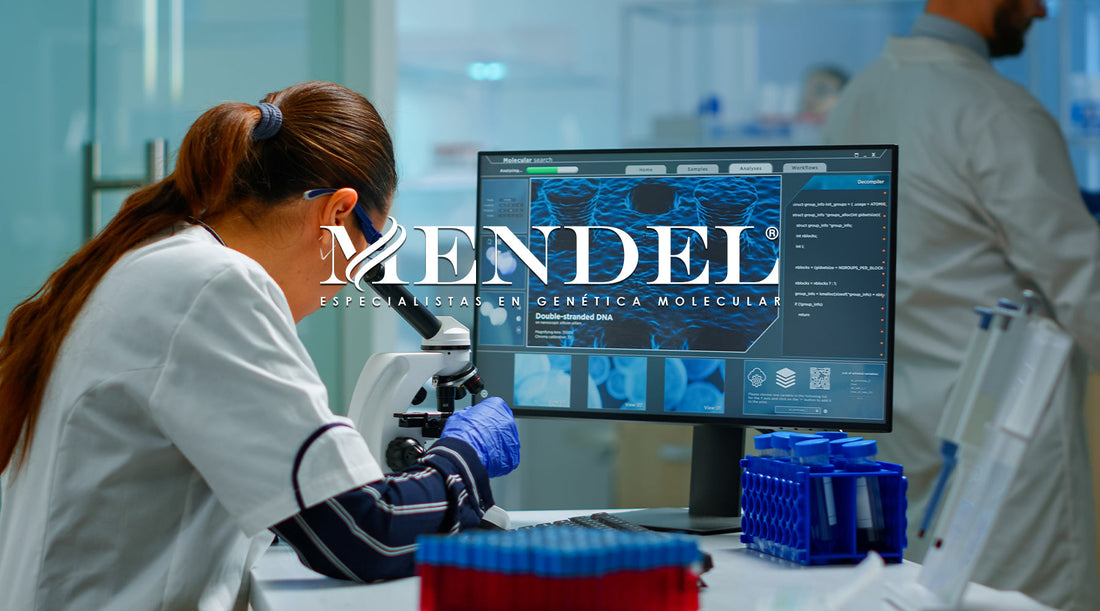 IGH::MAF T(14;16) POR FISH